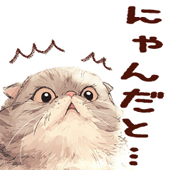 [LINEスタンプ] もふもふ可愛いエキゾチックロングヘアー