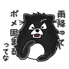 [LINEスタンプ] ボフッと黒ポメ ーお天気モードー