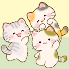 [LINEスタンプ] ちびころにゃんズの毎日使うスタンプ