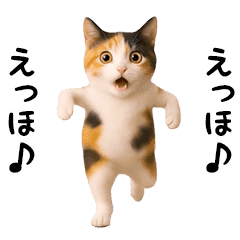 [LINEスタンプ] エッホエッホ猫