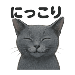 [LINEスタンプ] リアルなロシアンブルーの日常感情日記