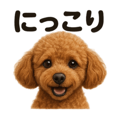 [LINEスタンプ] リアルなトイプードルの日常感情日記