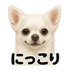 [LINEスタンプ] リアルすぎる白いチワワの感情日記