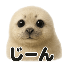 [LINEスタンプ] リアルすぎるワモンアザラシの感情日記