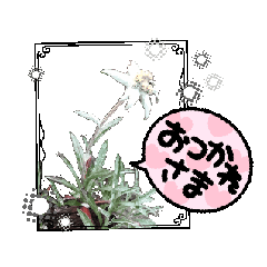 [LINEスタンプ] 動くおおはさまスタンプ