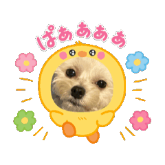 [LINEスタンプ] マルプーのむぎ02