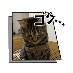 [LINEスタンプ] 白山田鈴木ラテ