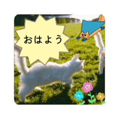 [LINEスタンプ] #広い公園 *move