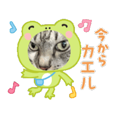 [LINEスタンプ] 動く！そらの毎日part1