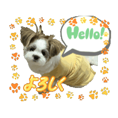 [LINEスタンプ] mix犬の挨拶スタンプ