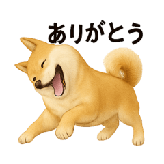 [LINEスタンプ] 柴犬☆日常会話☆