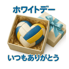[LINEスタンプ] バレーで年間行事