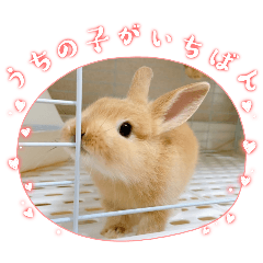 [LINEスタンプ] トナくん  2