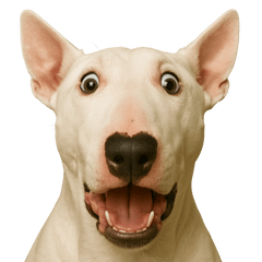 [LINEスタンプ] びっくり顔（犬編）Part3