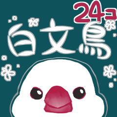 [LINEスタンプ] ゆる白文鳥がスタンプをお送りします