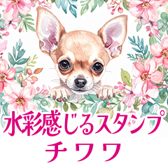 [LINEスタンプ] 水彩感じるスタンプ チワワ