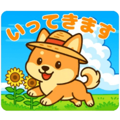 [LINEスタンプ] 柴犬ムギの夏休み