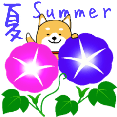 [LINEスタンプ] 夏の日常＊しばいぬくんの毎日