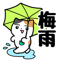 [LINEスタンプ] 梅雨のにぎやかなミケネコ