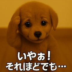 [LINEスタンプ] トイプー子犬のきもちスタンプ