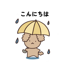 [LINEスタンプ] 可愛いトイプードル・いつでも使える