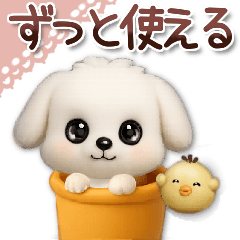 [LINEスタンプ] 毎日ずっ〜と使える★愛犬マルチーズ【3D】