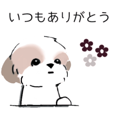 [LINEスタンプ] シーズーのスタンプ Shih Tzu ＆ wine s