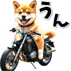 [LINEスタンプ] 即返信♡バイク好き 豆柴