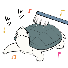 [LINEスタンプ] 動く！カメユの亀スタンプ