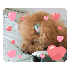 [LINEスタンプ] チョコ様＆ららちゃんのスタンプ 2