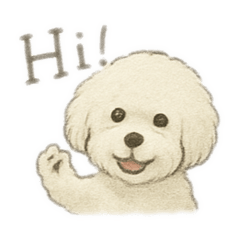 [LINEスタンプ] ビションフリーゼのふわふわ可愛いスタンプ