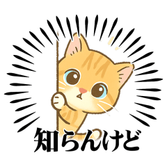 [LINEスタンプ] 子猫のライチくん