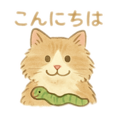 [LINEスタンプ] おおきいふわふわ猫のすいちゃん
