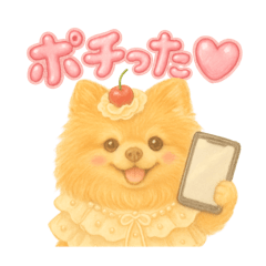 [LINEスタンプ] ポメラニアンのまいにち