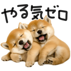 [LINEスタンプ] やる気ゼロ♡わんこ