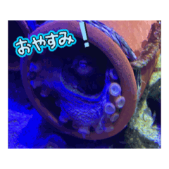 [LINEスタンプ] いろんなうみのいきもの
