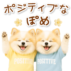 [LINEスタンプ] ポジティブな気持ちを伝える☆ポメラニアン