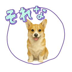 [LINEスタンプ] 『コーギー』のスタンプ