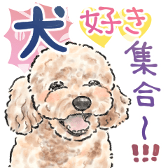 [LINEスタンプ] 【敬語】犬好き集合！かわいいワンちゃんズ