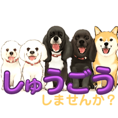[LINEスタンプ] 我が家の癒しアメコカのチョコ＆リント