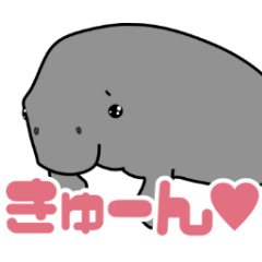 [LINEスタンプ] ジュゴンとコバンザメの使いやすいスタンプ