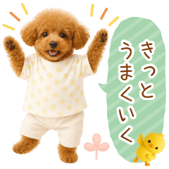 [LINEスタンプ] ポジティブな気持ちを伝える☆プードル