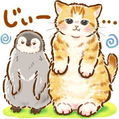 [LINEスタンプ] 猫たちとペンギンのスタンプ♡【丁寧敬語】