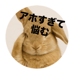 [LINEスタンプ] うざいウサギ【面白系】