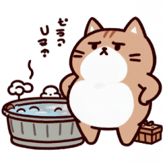 [LINEスタンプ] お風呂猫 なによ,