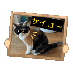 [LINEスタンプ] やりますな