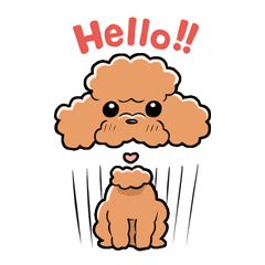 [LINEスタンプ] HELLO！ トイプードル