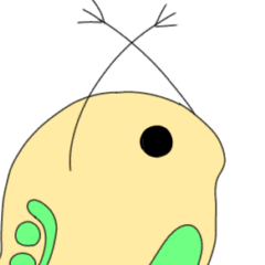 [LINEスタンプ] おっきいミジンコスタンプ