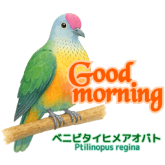 [LINEスタンプ] 〜鳩〜