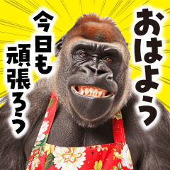 [LINEスタンプ] 毋ゴリラ【長文で伝える気持ち】